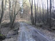 Тетерівка з panoramio.com