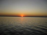 Ставки - Останні фото