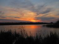 Велетенске з panoramio.com