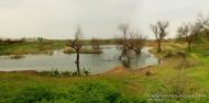 Гвардійське з panoramio.com - Гвардейское
