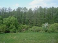 Великі Пузирки з panoramio.com