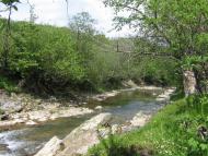 Слобода-Болехівська з panoramio.com