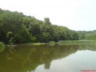 Оникієве з panoramio.com