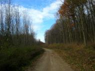 Кияниця з panoramio.com