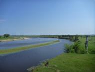 Богуші з panoramio.com