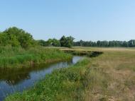 Народичі - Останні фото