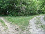 Лісне з panoramio.com