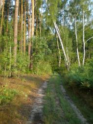 Пересипки з panoramio.com