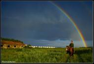 Боровичі - Останні фото