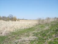 Рівне з panoramio.com