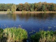 Костопіль з panoramio.com