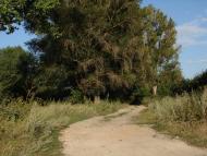 Чагарі-Збаразькі з panoramio.com