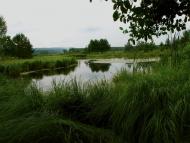 Стіжок з panoramio.com