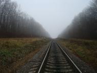 Соколівка з panoramio.com