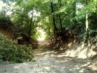 Микитяни - Останні фото