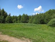 Курганці з panoramio.com