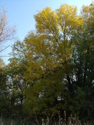 Рівне з panoramio.com