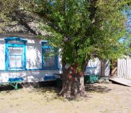 Зеленівка з panoramio.com