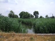 Солонці з panoramio.com