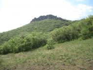 Лісне з panoramio.com