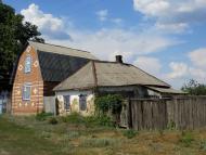 Рябина з panoramio.com