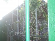 село Бецилово