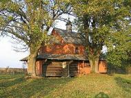 Мала Хвороща