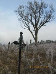 Погар-Церква