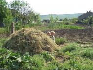 село Бецилово