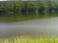 Врублівці - Останні фото