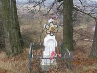 Козьова зимова