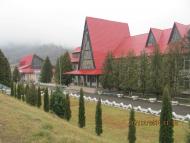 Козьова зимова