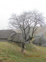 Погар-Церква