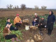 село Бецилово