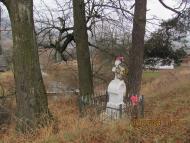 Козьова зимова