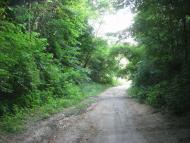 Любеч з panoramio.com