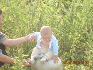 село Бецилово