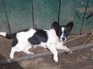 село Бецилово