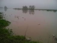 Мости - Останні фото