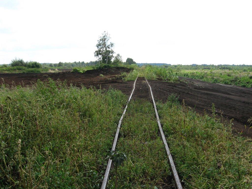 Смолин з panoramio.com - Смолин