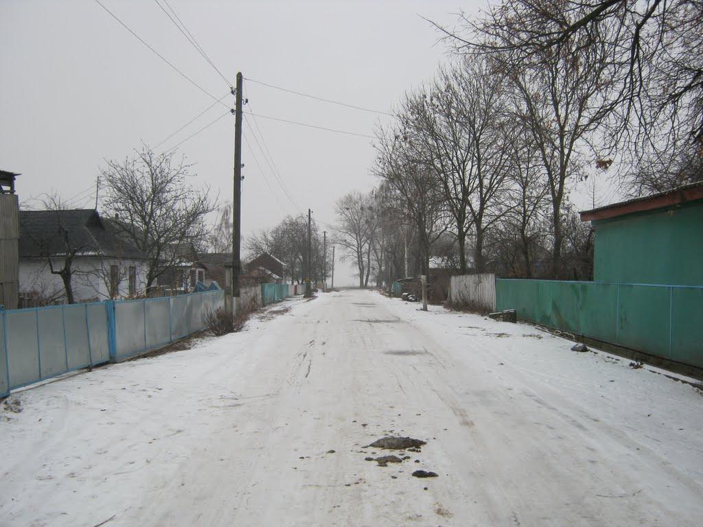 Олександрівка з panoramio.com - Олександрівка