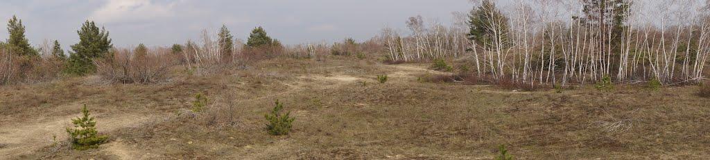 Кряківка з panoramio.com - Кряковка