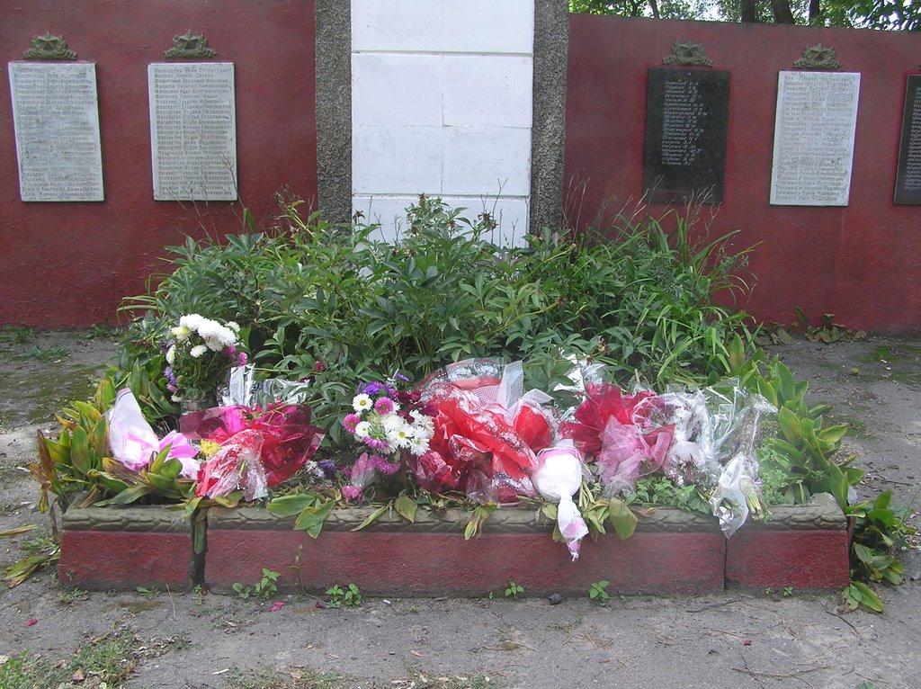 Павлиш з panoramio.com - Павлиш