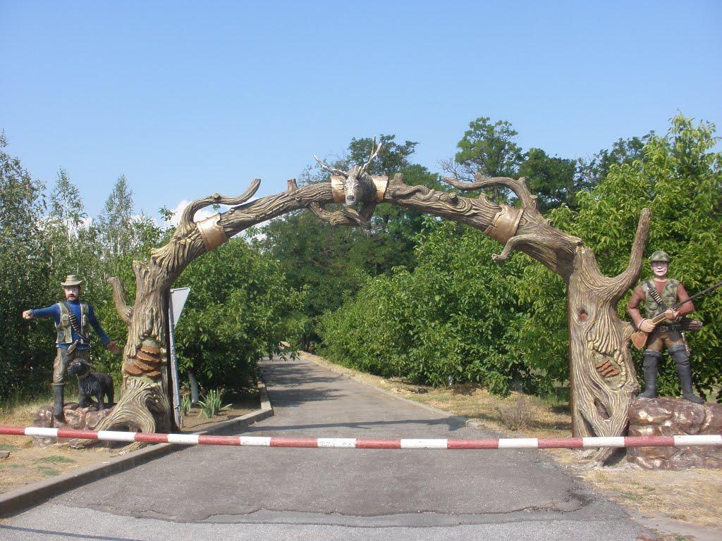 Василівка з panoramio.com - Василівка