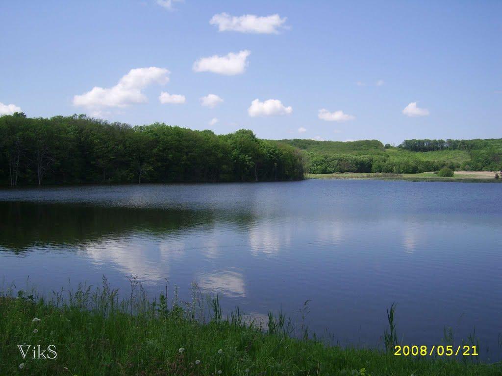 Лісна Поляна з panoramio.com - Лісна Поляна