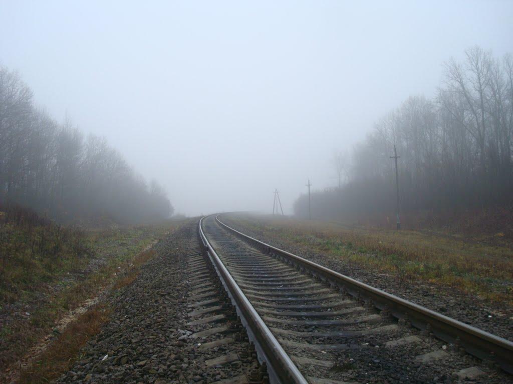 Томашівка з panoramio.com - Томашівка