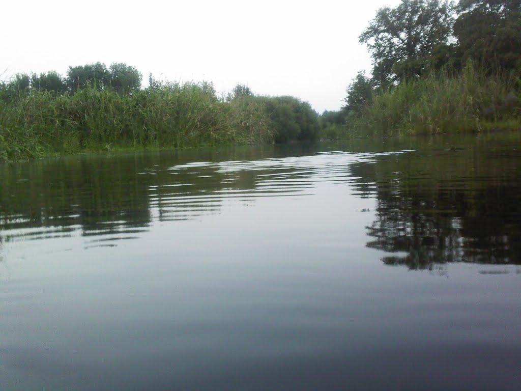 Мала Нехвороща з panoramio.com - Мала Нехвороща