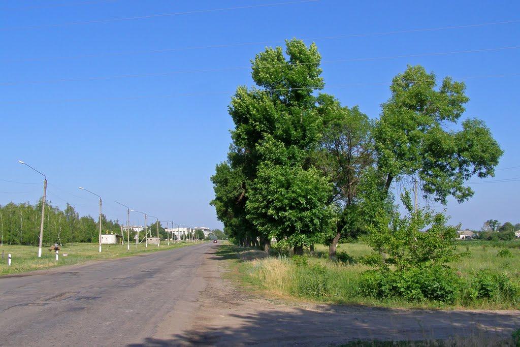 Новопсков з panoramio.com - Новопсков