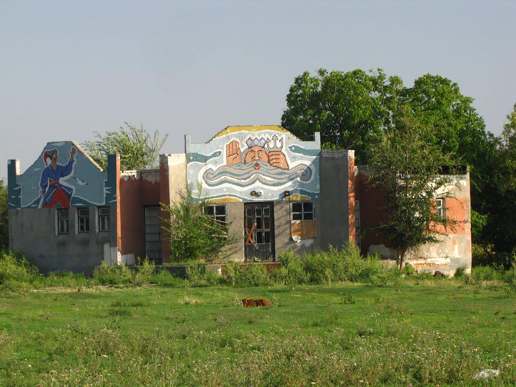 Петро-Михайлівка з panoramio.com - Петро-Михайлівка