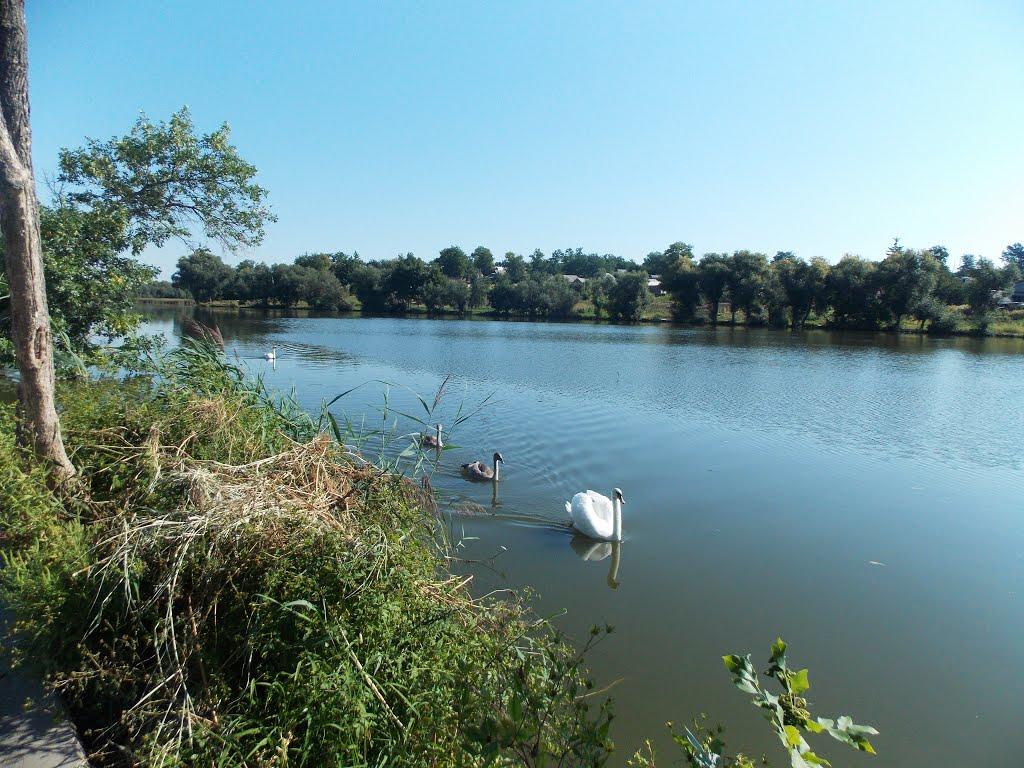 Теплик з panoramio.com - Теплик